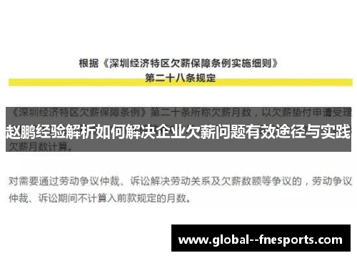 赵鹏经验解析如何解决企业欠薪问题有效途径与实践