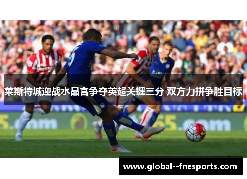 莱斯特城迎战水晶宫争夺英超关键三分 双方力拼争胜目标